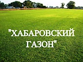 Газонная трава, травосмесь "Хабаровский газон"