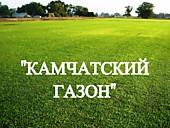 Газонная трава, травосмесь "Камчатский газон"