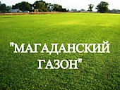 Газонная трава, травосмесь "Магаданский газон"