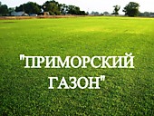 Газонная трава, травосмесь "Приморский газон"