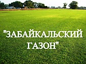 Газонная трава, травосмесь "Забайкальский газон"