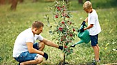 Курс "Методы правильной посадки плодовых и ягодных саженцев в саду в условиях Забайкалья" 